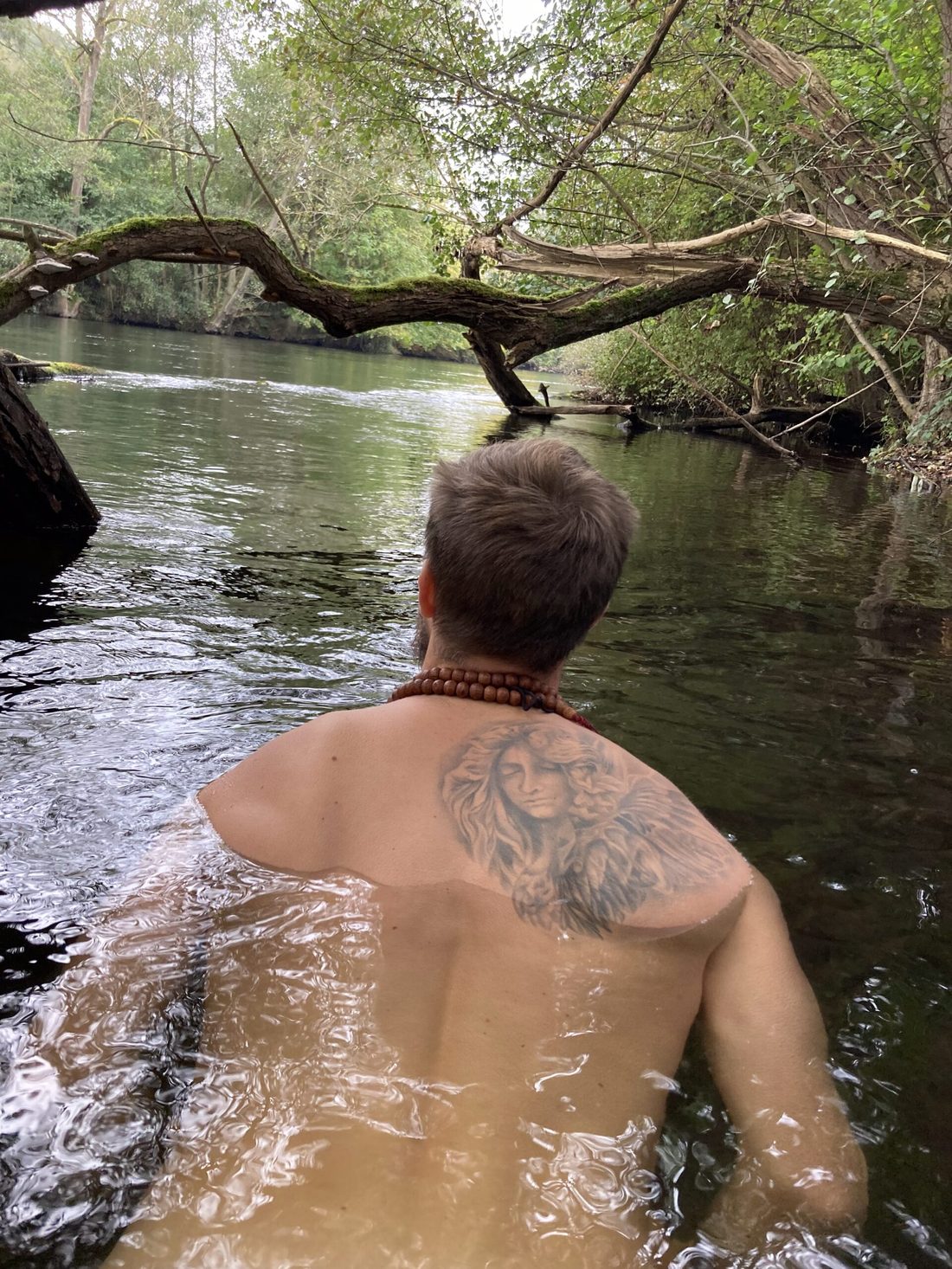 Blick auf einen ruhigen Fluss in der Natur