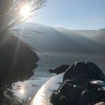 59300886-b703-4200-a53e-3b388e979534